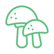 Grzyby
