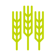 Rolnictwo